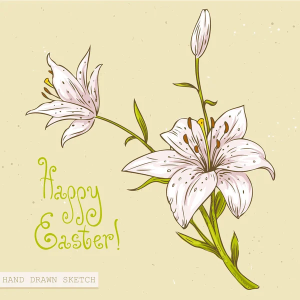 Esbozo Lineal Color Las Hermosas Flores Lirio Pascua Con Texto — Vector de stock