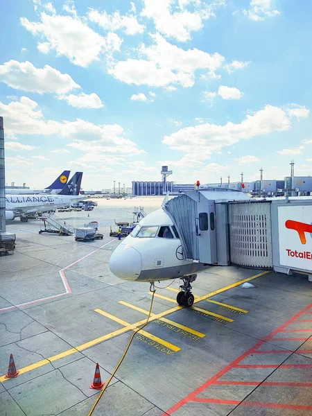 Frankfurt am Main, Almanya - 2025-05-30 - Yer servisi sırasında güverte köprüsü bağlı olan uçaklar