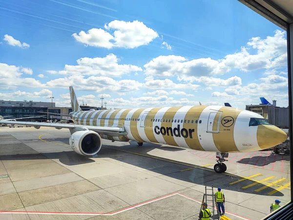 Frankfurt am Main, Almanya - 2025-05-30 - Beyaz ve altın çizgili Concord yolcu uçağı Alman havaalanından kalkmaya hazır