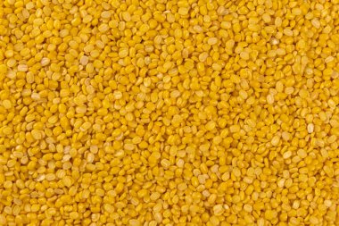 Mung dal ya da Mung daal fasulye dokusu. Beslenme. Biyoloji. Doğal besin maddesi.