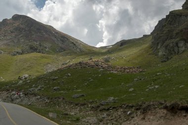 Romanya Transalpina yolunun sık orman ve dağlık arazide kıvrılan manzaralı bir uzantısı. Yayın, seyahat, altyapı veya doğa fotoğrafçılığı temaları için ideal.