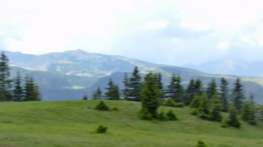 Romanya 'daki Transalpina Yolu' ndan Orman Karpatlar 'a Dönüş