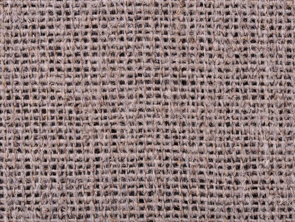 Crinoline texture. Close up — Stock Photo, Image