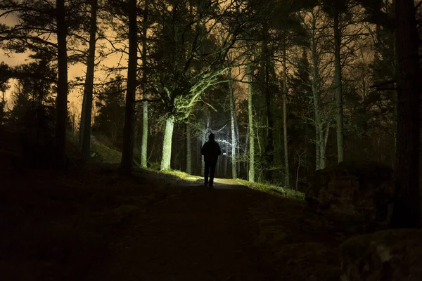 Uomo Che Cammina Notte Nella Foresta Svedese Con Torcia Elettrica — Foto Stock