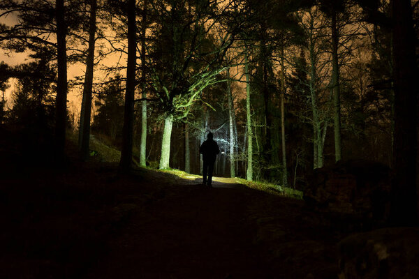 Man walking at night in Swedish forest with flashlight.