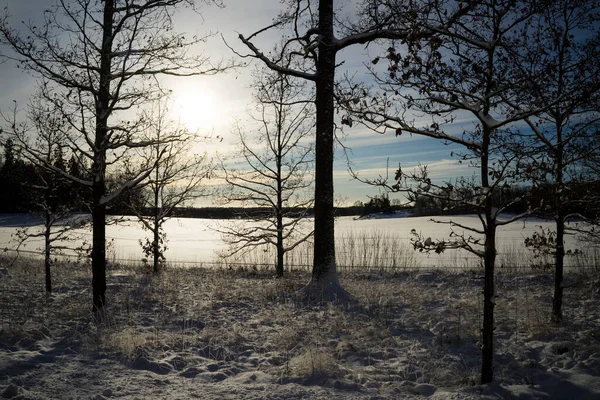 Winterlandschap Van Bevroren Meer Besneeuwde Bomen — Stockfoto