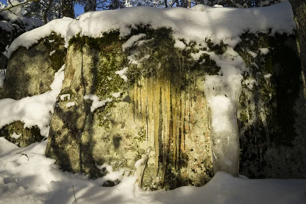 Gyönyörű Téli Nap Svéd Erdőben Szép Skandináv Természet Táj Jég — Stock Fotó