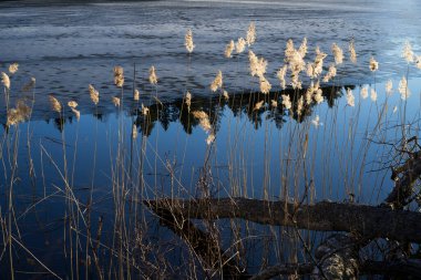 Akşamları gölün güzel manzarası