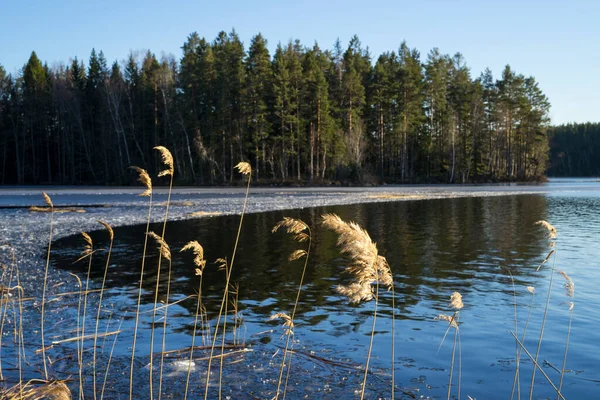 Bellissimo Paesaggio Con Lago Cielo Blu — Foto Stock