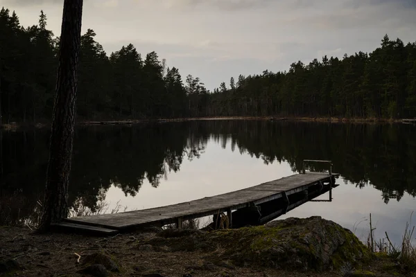 Hermoso Paisaje Con Lago Muelle Madera Bosque — Foto de Stock