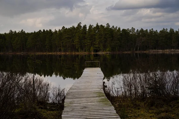 Bella Vista Sul Lago Nel Bosco — Foto Stock