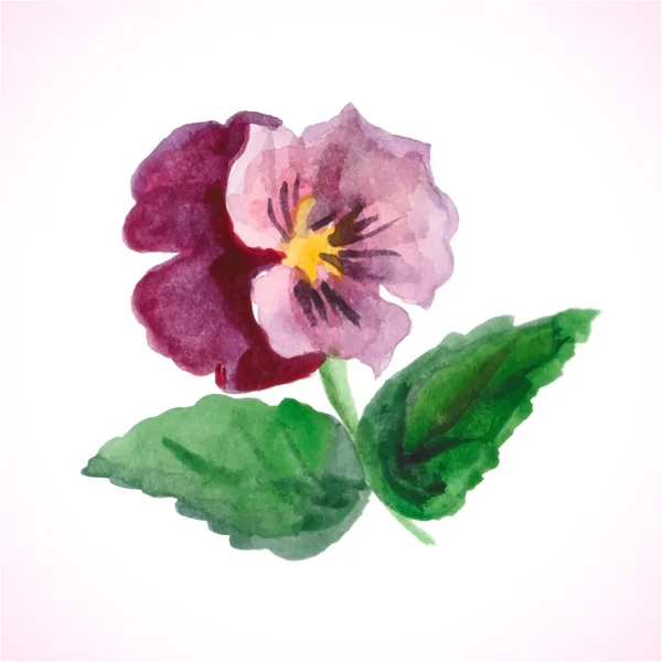 Aquarelbloem — Stockvector