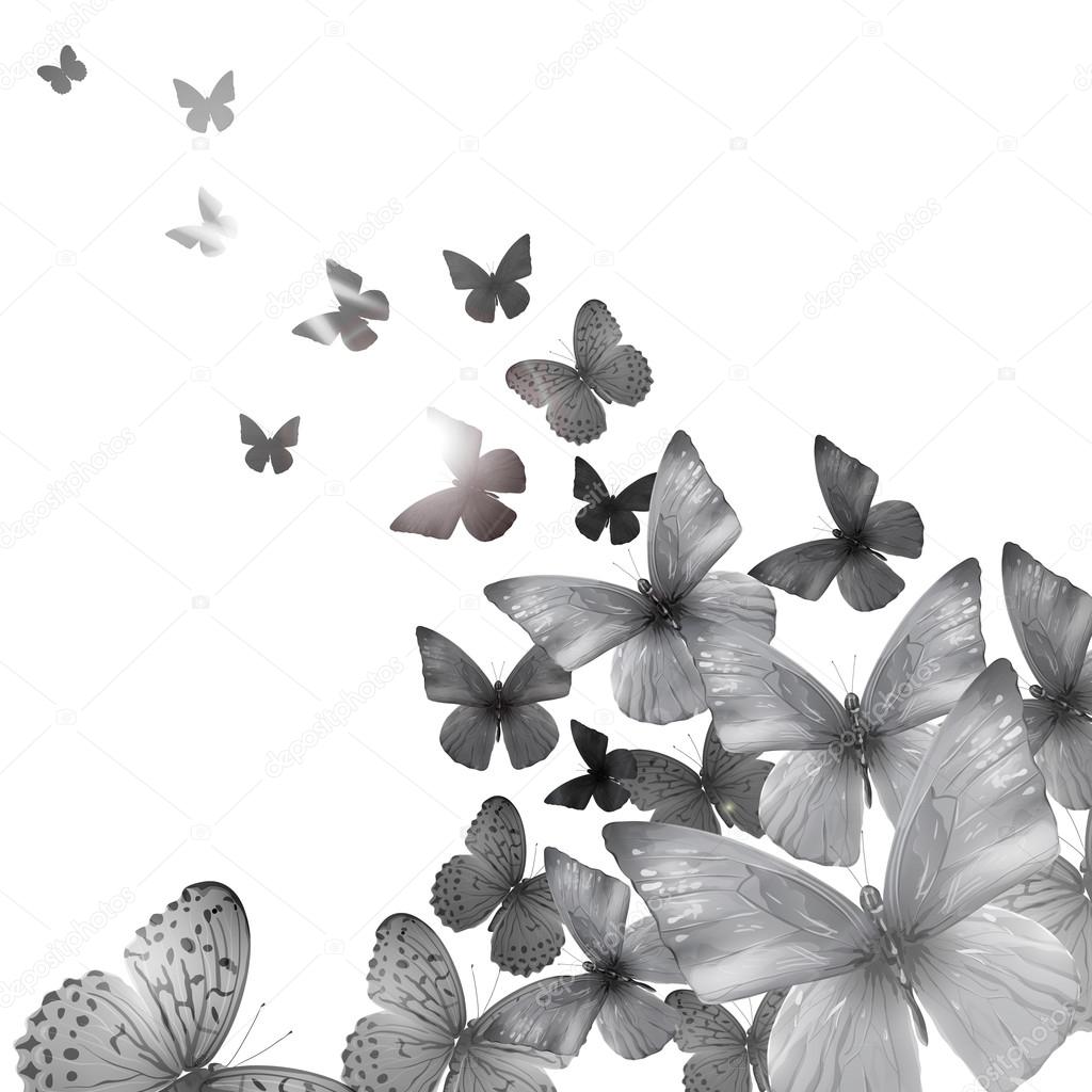 Clipart Black And White Butterflies Summer Butterfly Black