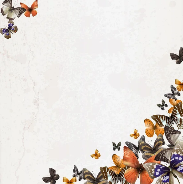 Papel viejo con mariposas — Vector de stock