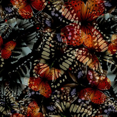 Kelebek sorunsuz nith