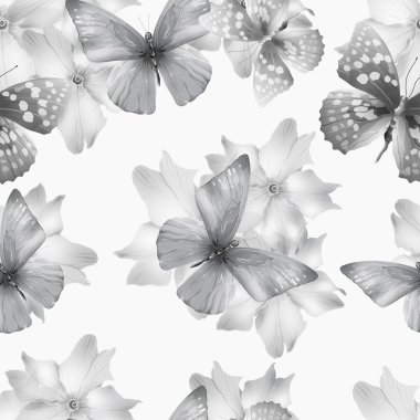 kesintisiz beyaz çiçekler