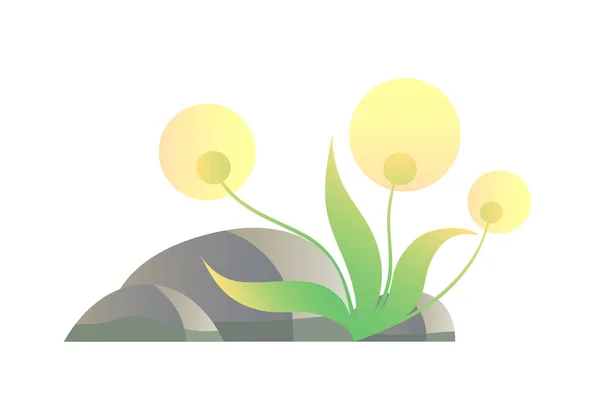 Dandelion near stones, isolated image. Colored vector illustration