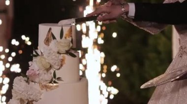 Gelin ve damat düğün pastasını kesti. Maytaplı düğün pastası. Yeni evlilerin kestiği düğün pastasının ayrıntıları. Düğün pastasını kes.
