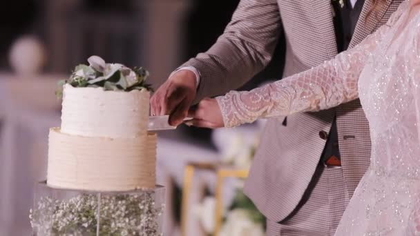 Das Brautpaar schnitt die Hochzeitstorte an. Hochzeitstorte mit Wunderkerzen. Detail beim Anschneiden der Hochzeitstorte durch Frischvermählte. Die Hochzeitstorte anschneiden — Stockvideo