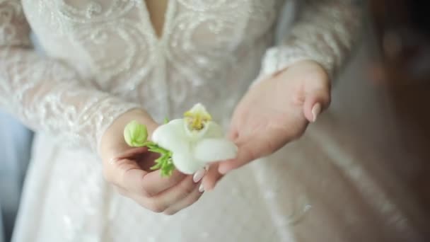 Düğünler yaka çiçekleri, aksesuarlar damat ve gelin. Beyaz elbiseli gelin damat yaka çiçeğini düzeltir. Damat için mücevherler. Doğal beyaz çiçekli yaka çiçeği. — Stok video