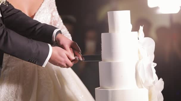 ตัดเค้กแต่งงานซะ เจ้าสาวและเจ้าบ่าวตัดเค้กแต่งงาน รายละเอียดของเค้กแต่งงานที่ตัดโดยคู่แต่งงานใหม่ — วีดีโอสต็อก