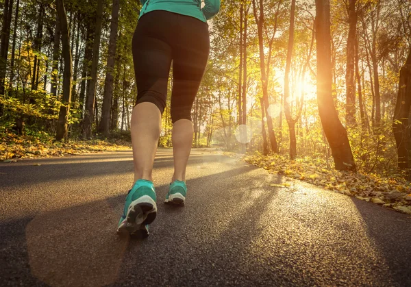 Coureur dans la forêt d'automne — Photo