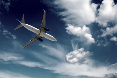 uçan uçak