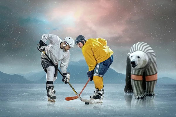 Jugadores de hockey sobre hielo y oso polar —  Fotos de Stock