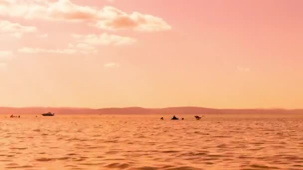 SIOFOK, HUNGARY - 31 июля 2019 года: Закат времени на людей, плавающих и играющих на озере Балатон в Шиофоке, Венгрия во время солнечного дня в летний день. — стоковое видео