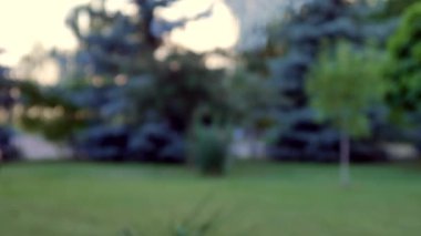 Arka planda ağaçlar olan bahçedeki elektronik sigara dumanının manzarası.