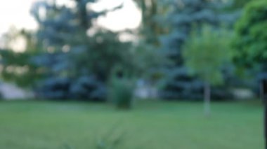 Arka planda ağaçlar olan bahçedeki elektronik sigara dumanının manzarası.