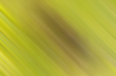 Renkli bulanık arkaplan sahne duvar kağıdı