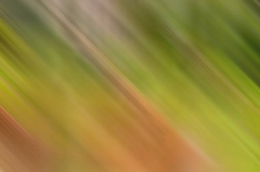 Renkli bulanık arkaplan sahne duvar kağıdı