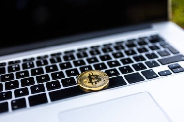 Güneşli bir günde çimlerde kripto para birimlerini temsil eden bir bitcoin ile bir dizüstü bilgisayarda görüntüle.