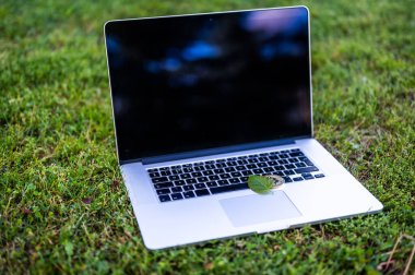 Güneşli bir günde çimlerin üzerinde kripto para birimlerini temsil eden bitcoin ve chia yaprağıyla bir dizüstü bilgisayarda görüntüle.