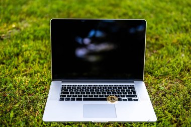 Güneşli bir günde çimlerde kripto para birimlerini temsil eden bir bitcoin ile bir dizüstü bilgisayarda görüntüle.