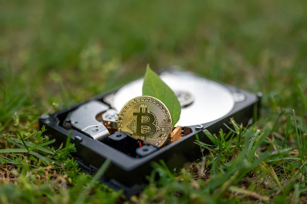 Güneşli bir günde çimlerin üzerinde kripto para birimlerini temsil eden bir bitcoin ve chia yaprağı ile bir sabit diskte görüntüle.