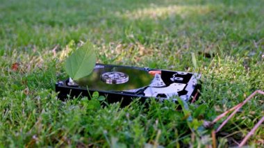 Chia cyrptocy madenciliğini temsil eden bir yaprak ile bir HDD görünümü.