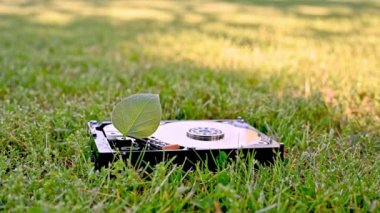 Chia cyrptocy madenciliğini temsil eden bir yaprak ile bir HDD görünümü.
