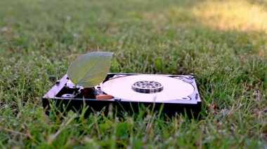 Chia cyrptocy madenciliğini temsil eden bir yaprak ile bir HDD görünümü.