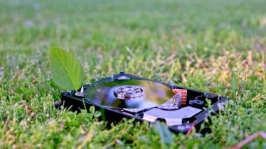 Chia cyrptocy madenciliğini temsil eden bir yaprak ile bir HDD görünümü.