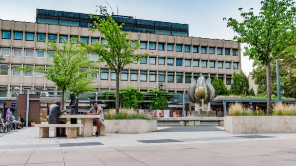 ZALAEGERSZEG, HUNGARY - AUGUST 15, 2021: Time-lapse view on the people and the Gocseji tulip fountan or the Gocseji tulipan szokokut on the Disz square ter in Zalaegerszeg, Hungary on a summer afternoon. — Stock Video