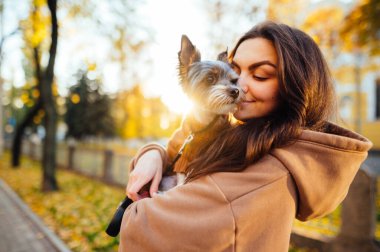 Gülümseyen kadın elinde küçük şirin bir köpek çiftleşen bir teriyer tutuyor ve gün batımında sonbahar parkının arka planında yüzünde bir gülümsemeyle sarılıyor..