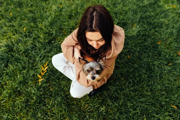 Kobieta Siedzi Trawniku Przytula Małego Psa Rasy Biewer Terrier Widok — Zdjęcie stockowe