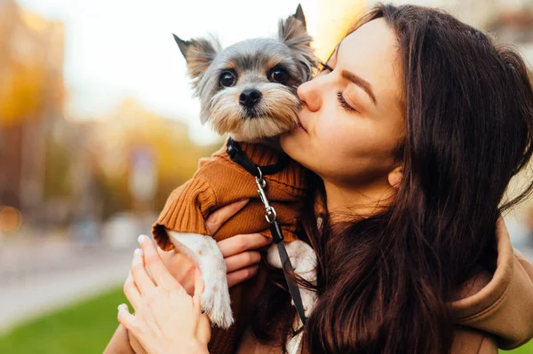 Aranyos Megcsókol Egy Aranyos Kis Kutyát Közeli Portré Hölgy Megölel — Stock Fotó
