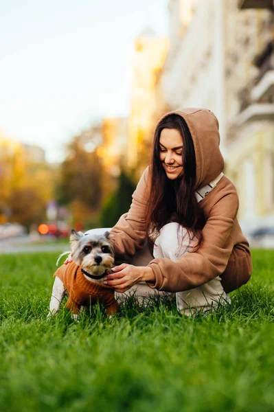 Vacker Lycklig Kvinna Casual Kläder Leker Med Söt Hund Ras — Stockfoto