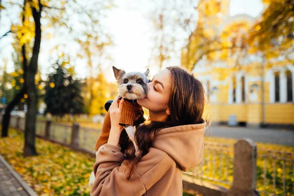 Mujer Atractiva Besa Perrito Lindo Sosteniendo Sus Brazos Sobre Fondo — Foto de Stock