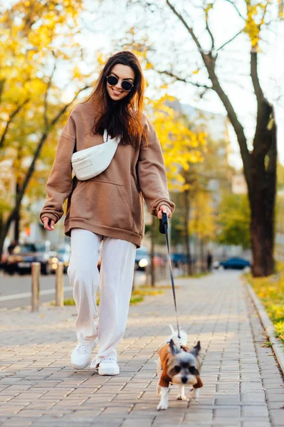 Vicces Hölgy Alkalmi Ruhák Sétál Egy Kutya Fajta Biewer Terrier — Stock Fotó