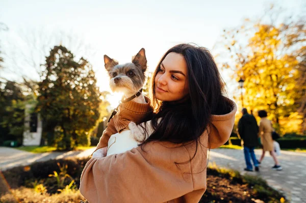 Attraktiv Dam Står Vacker Park Vid Solnedgången Med Liten Hund — Stockfoto