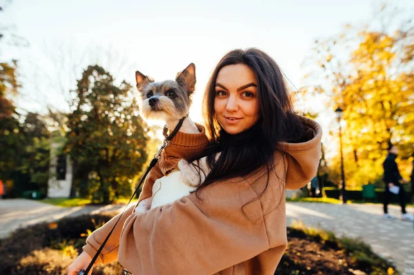 Femme Heureuse Marchant Dans Parc Coucher Soleil Avec Chien Biewer — Photo